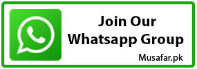 Whatsapp Banner