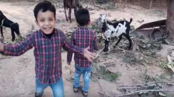 Children Enjoying With Farm Animals In Chak No 319 GB