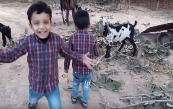 Children Enjoying With Farm Animals In Chak No 319 GB