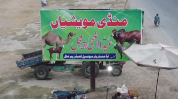 Situation About Bakara Mandi In Pir Mahal